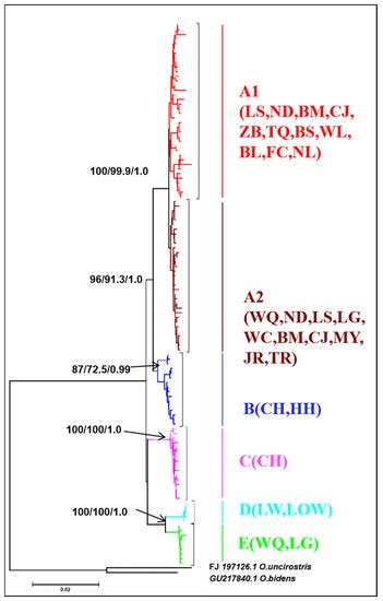 Genes | October 2022 - Browse Articles