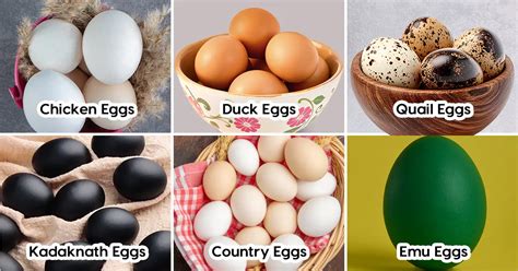 Is Egg Good for Diabetes? - Fitterfly