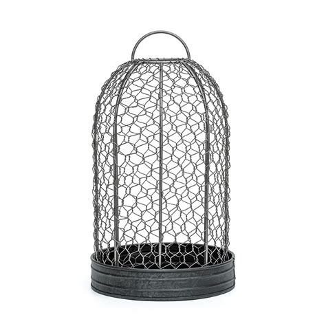 Buy Bird cage cloche and tray: Delivery by Waitrose Garden