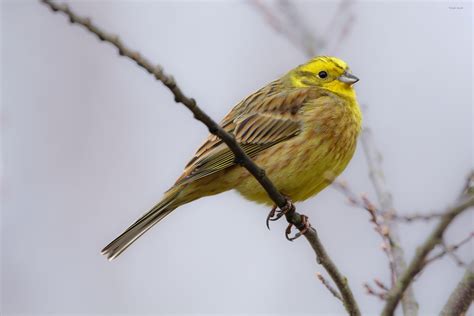 k u r z f r i s t i g _ t r ü b e _ a u s s i c h t e n Foto & Bild ...