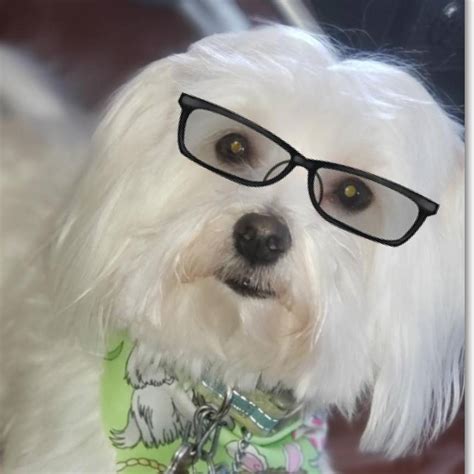 Hey kinder squad! I'm looking for a song for graduation- I have ...