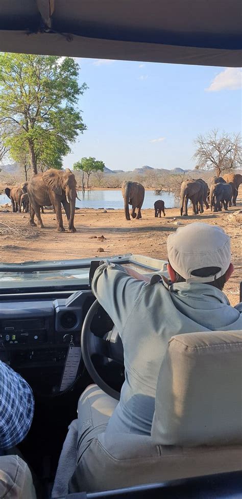 RAPTOR RETREAT GAME LODGE (Hoedspruit) - Lodge Reviews, Photos, Rate ...