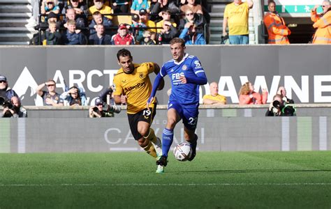 Image result for Wolves Centre-Backs