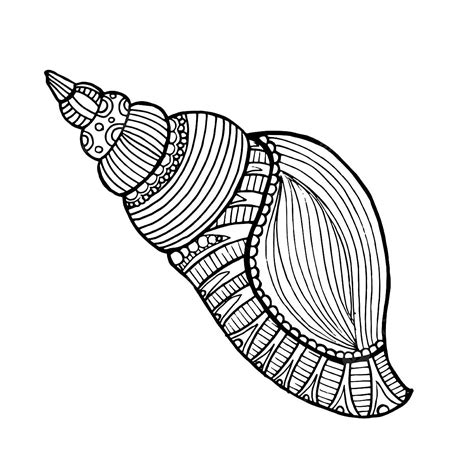 Image result for Black and White Shell Script