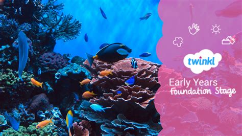 Under the Sea Activities for Early Years ? - Twinkl