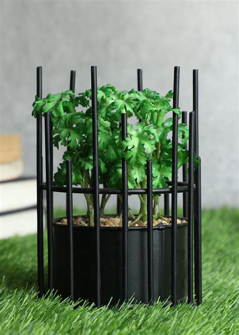 Get Artificial Hidegreen Bonsai With Black Pot at ₹ 910 | LBB Shop