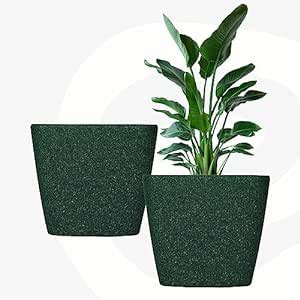 Eha Set of 2 Earth-Friendly Daisy 7" Self-Watering pots and Planters ...
