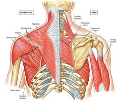 Image result for Manufacturing Process Examples