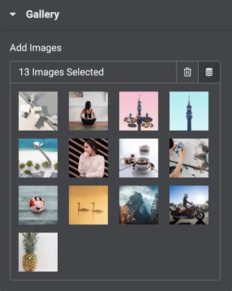 Elementor Gallery Slider 的图像结果
