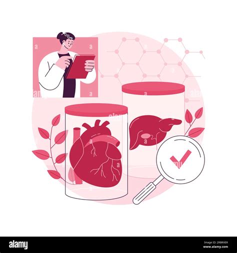 Lab-Grown Organs at Jill Deleon blog