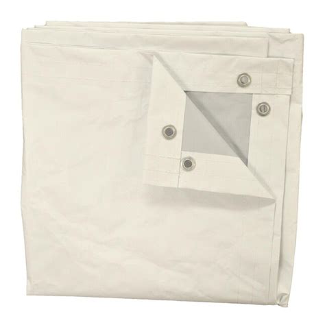 True Shelter 20-ft x 10-ft White Water Resistant Standard Polyethylene ...