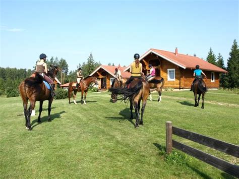 Adventure Ride (Adazi) - 2021 What to Know Before You Go (with Photos ...