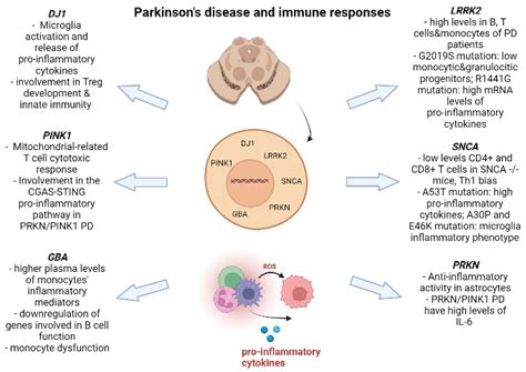 Immune Response Modifications in the Genetic Forms of Parkinson’s ...