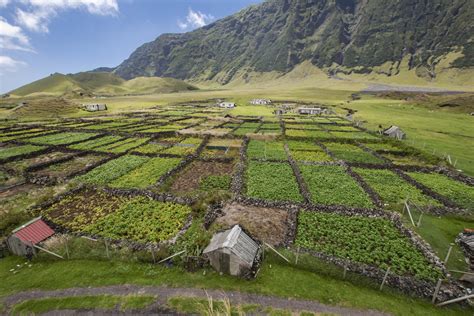 Fun Facts Tristan da Cunha | Mygrations