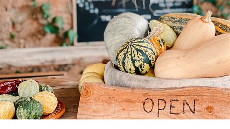 JavaScript Palm Tree Design 的图像结果