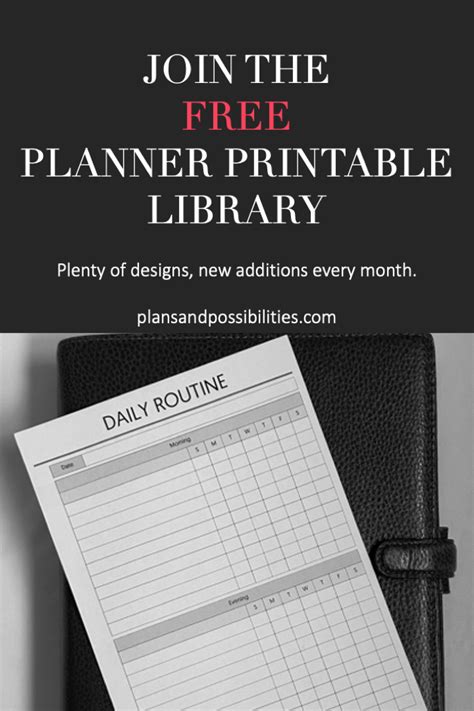 Daily Plan Example 的图像结果