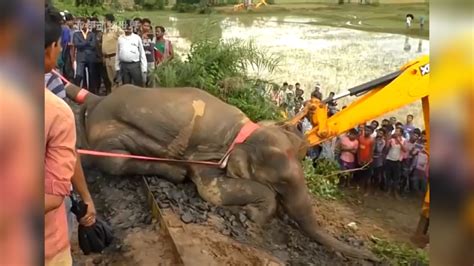 泰国大象破坏喷水设施造“喷泉”,呆萌玩水惹人爱-新闻中心-南海网