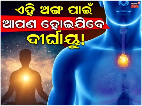 ଶରୀରର ଏହି ଅଙ୍ଗର ବୃଦ୍ଧି ପାଇଁ ଆପଣ ହୋଇଯିବେ ଦୀର୍ଘାୟୁ; ଗବେଷଣାରୁ ଖୁଲାସା ହେଲା ...