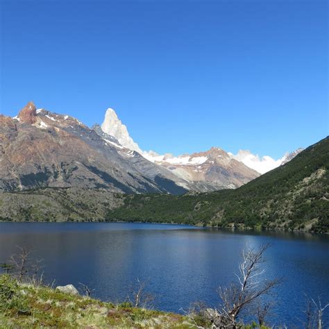 RESERVA NATURAL LOS HUEMULES (2026) All You Need to Know BEFORE You Go ...