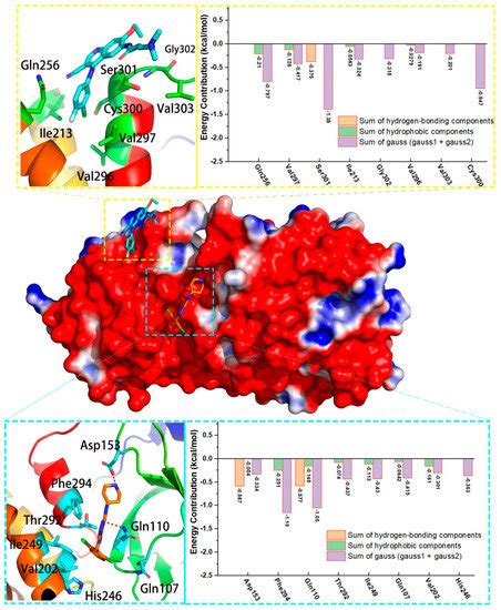 Elucidation of Binding Features and Dissociation Pathways of Inhibitors ...