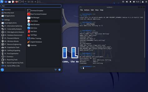Image result for Large Kali Linux