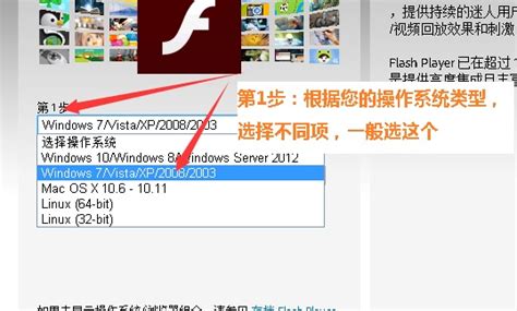 Adobe Flash Player 32.0.0.465 国际版（和谐地区限制版） + 34.0.0.282 国内特供版（去除广告&支持 ...