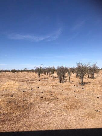 The Gulflander (Normanton) - 2021 What to Know Before You Go (with ...