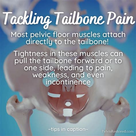 Dr. Krista Jenney | Pelvic Floor Physical Therapist (@dr.krista ...