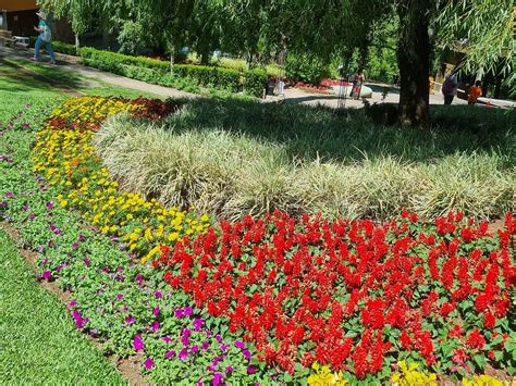 MARIELI DOS SANTOS (2026) All You Need to Know BEFORE You Go (with ...