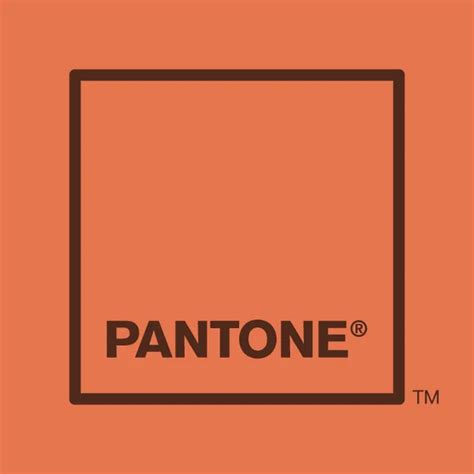 Image result for Box Packing Algorithm