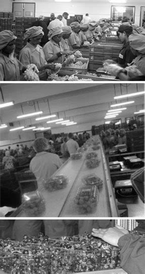 Quality Assurance - Freshpro International