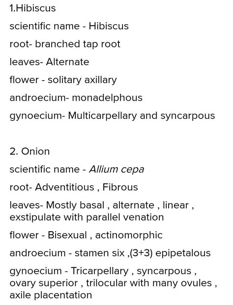 guys please answer me. - Brainly.in