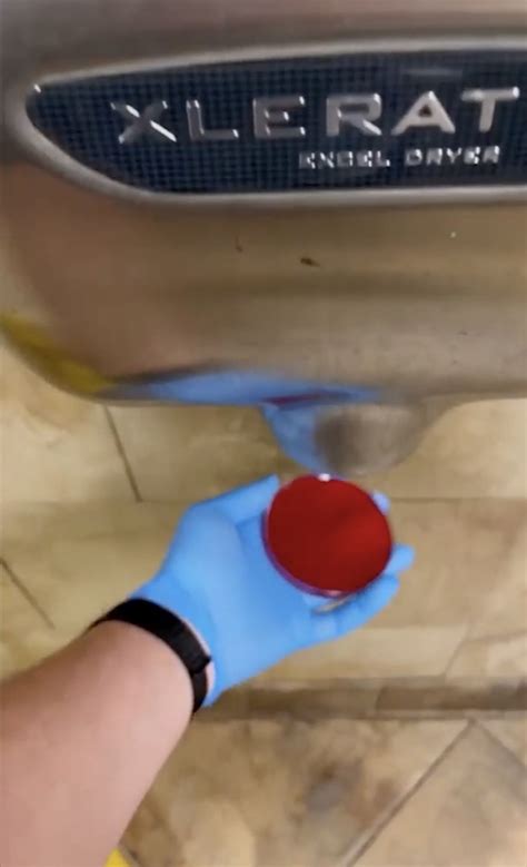 Image result for Using a Hand Dryer