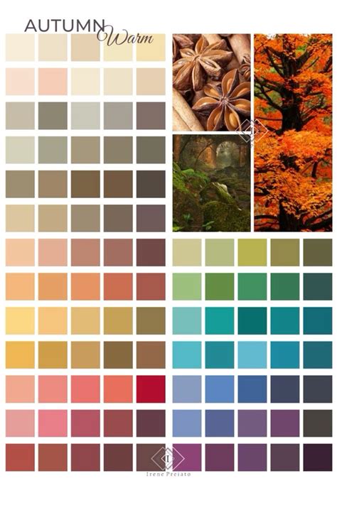 Warm true autumn color palette and wardrobe guide – Artofit