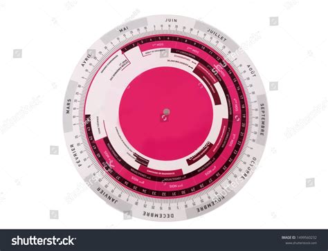 60 Gestation Calculator Images, Stock Photos & Vectors | Shutterstock