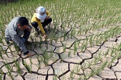 旱季缺水土地干裂实拍视频素材下载_红动中国