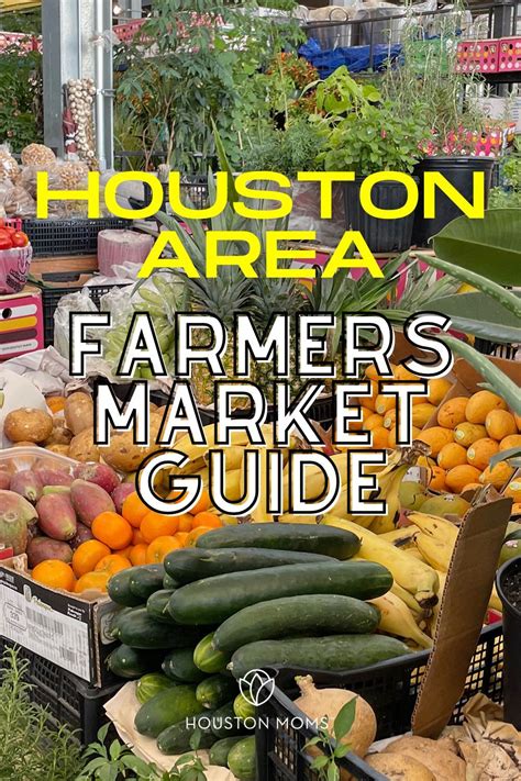Local Farmers Markets Guide 的图像结果
