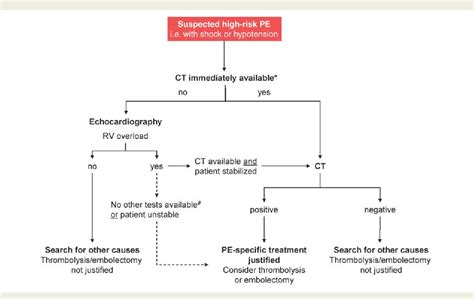Pulmonary Embolism Algorithm 的图像结果
