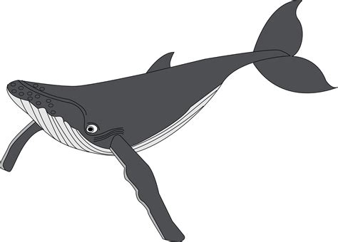 Free Whale Clip Art Pictures - Clipartix
