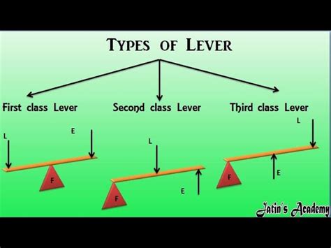 Image result for Types of Levers