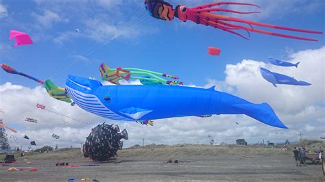 Local People in Welling 的图像结果