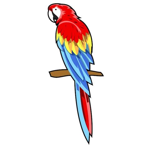 Papagei Clipart Bilder - Kostenloser Download auf Freepik