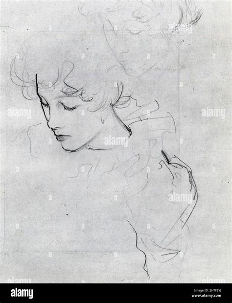 Carnation lily lily rose hi-res stock photography and images - Alamy