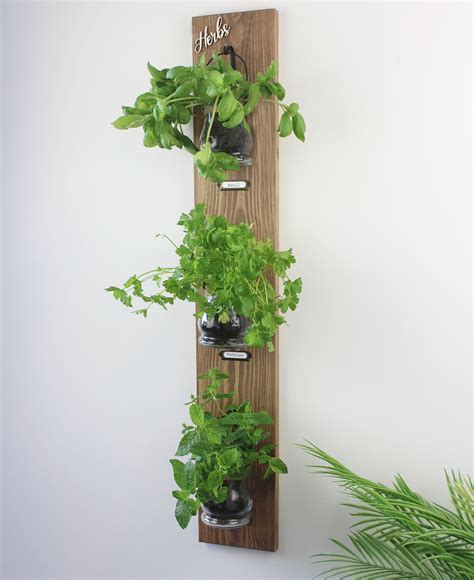 Indoor Herb Garden Wall