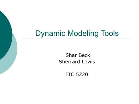 Dynamic Model Tools 的图像结果
