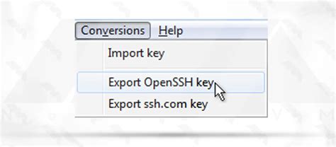 Image result for Paste the Generated SSH Key