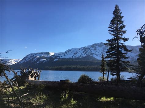 Fallen Leaf Campground in Lake Tahoe Basin Management Unit, California ...