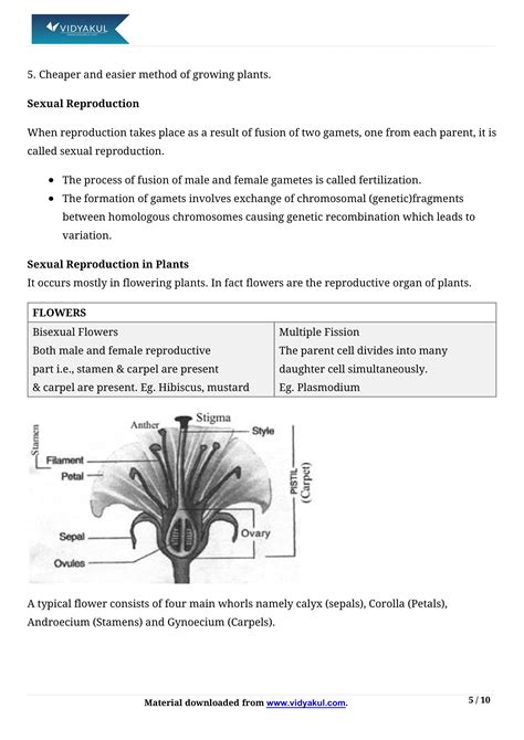 Class 10 Chapter How Do Organisms Reproduce with Notes 的图像结果