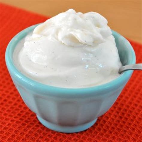 Homemade Frozen Greek Yogurt Recipe at Stephanie Clunie blog