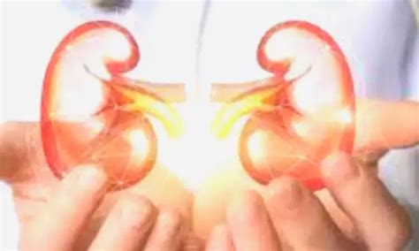 Retinal OCT may provide crucial insights into kidney injury